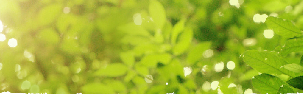 Tree of Health header